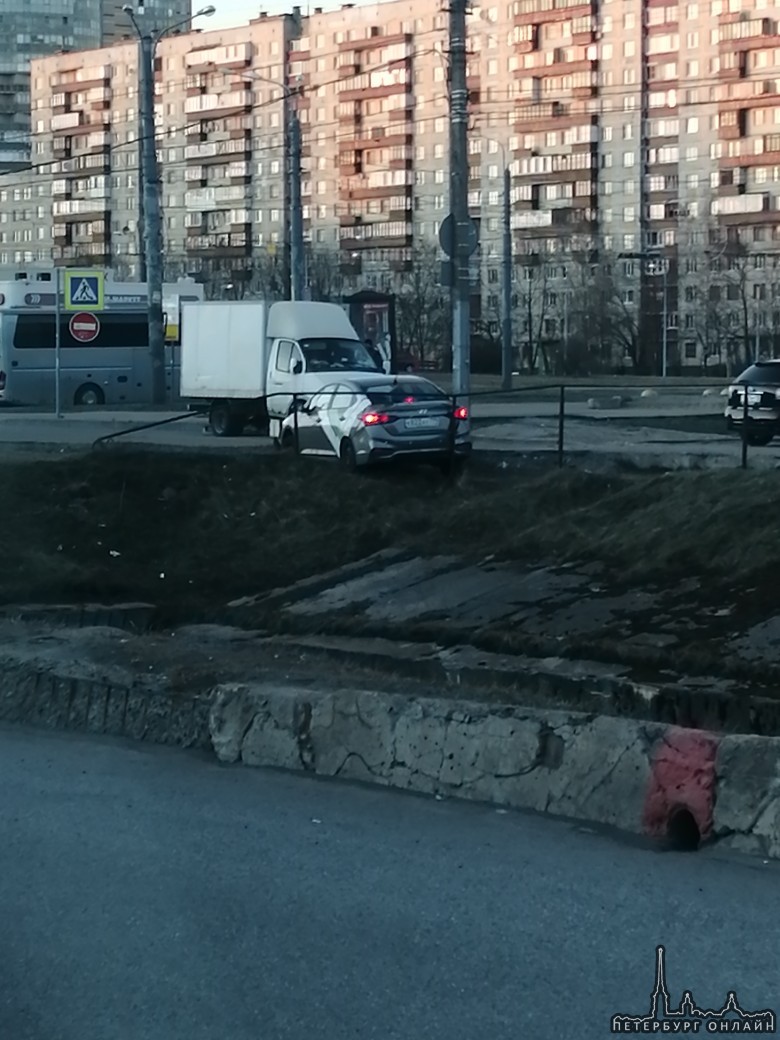 В Купчино у Балканской площади делимобиль припарковали на берегу Волковки