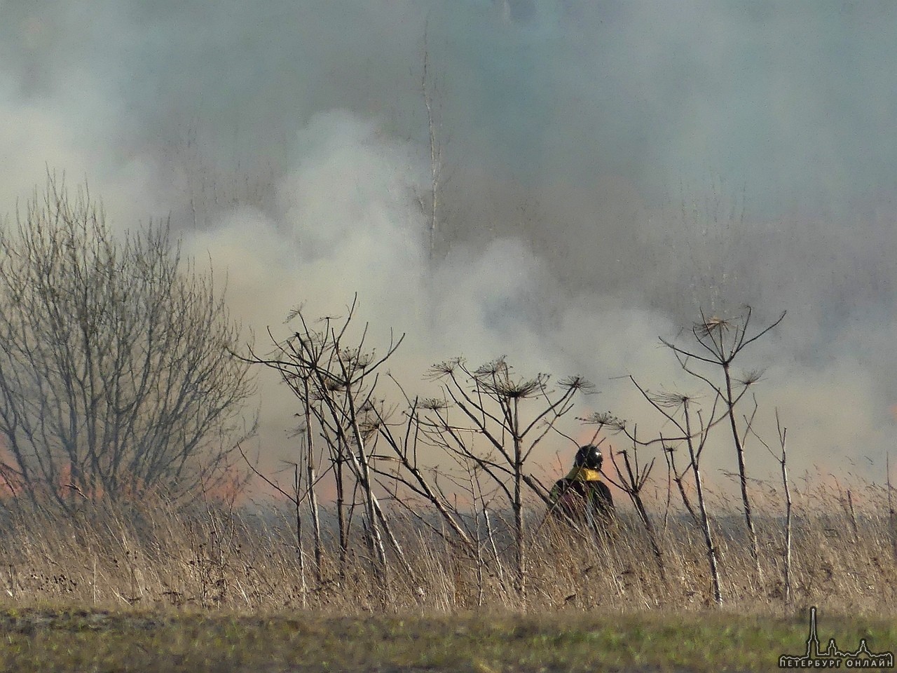 8 апреля примерно в 18 часов был масштабный поджог травы от Софийской до Московской Славянки. Господ...