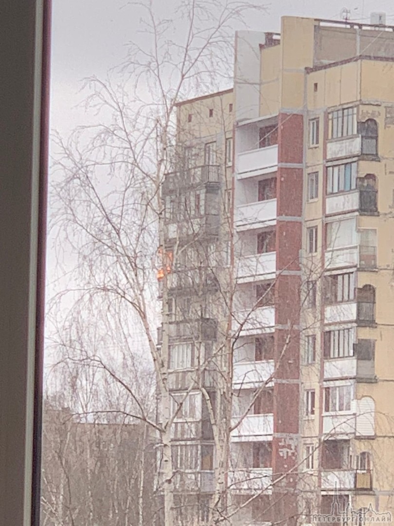 Был пожар в квартире дома на Светлановском 38. На место приехали 3 пожарных автомобиля. Сработали бы...