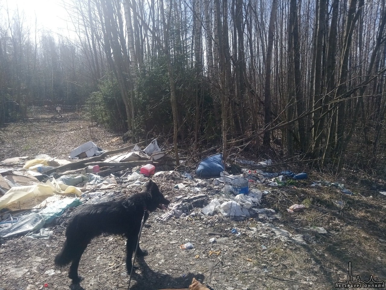 Жители ЖК Озерный на Капральской 15, в Новом Девяткино, жалуются на горы мусора в Капральевом парке....