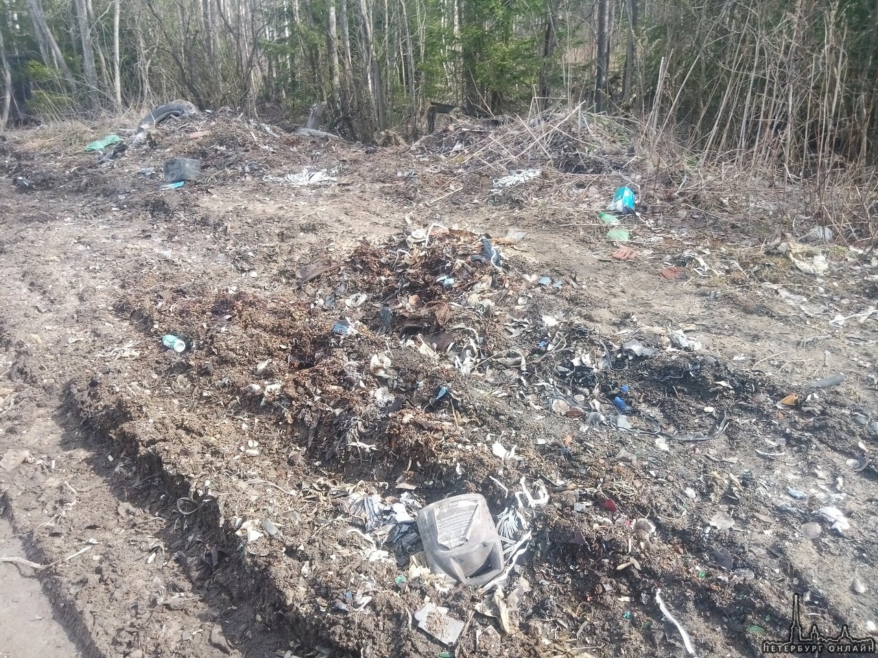 Жители ЖК Озерный на Капральской 15, в Новом Девяткино, жалуются на горы мусора в Капральевом парке....