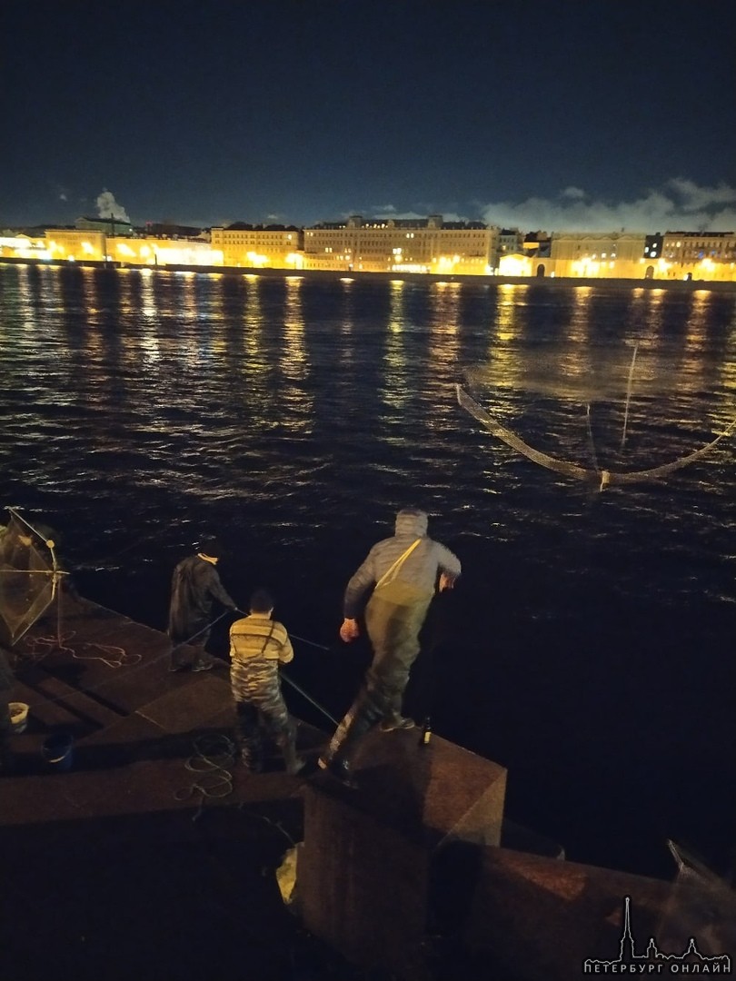 Наступает ночь, а в центре Петербурга рыболовы выходят на охоту за корюшкой.