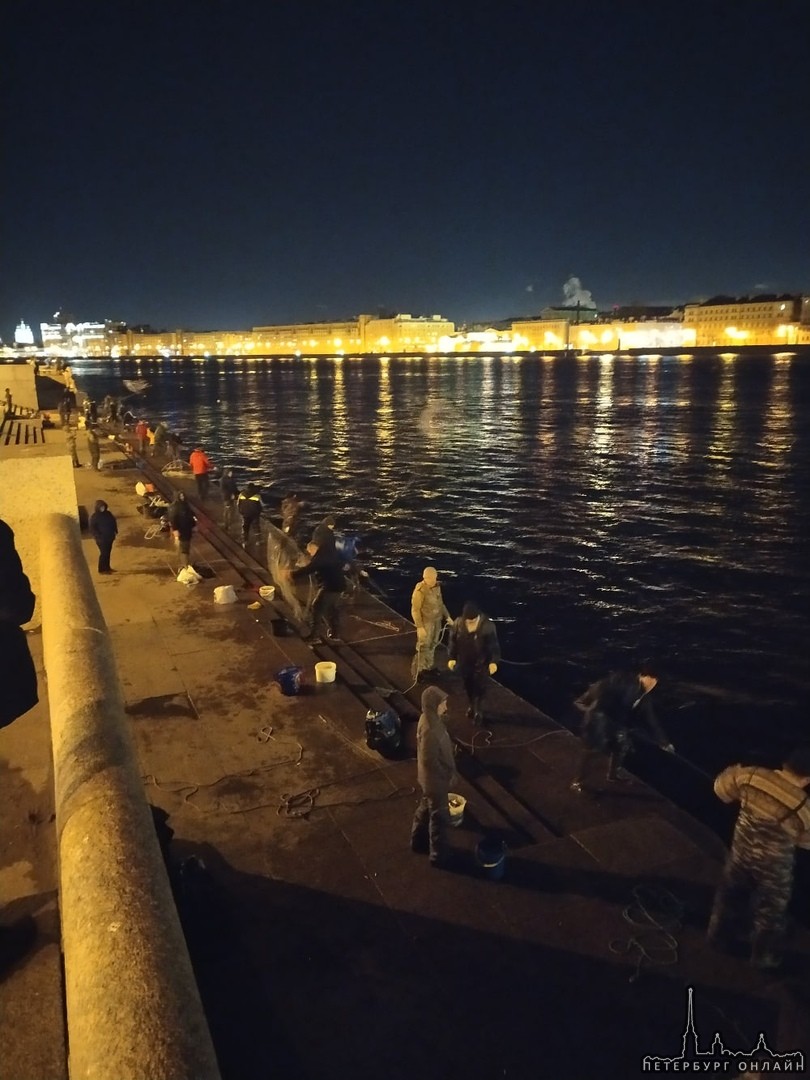 Наступает ночь, а в центре Петербурга рыболовы выходят на охоту за корюшкой.