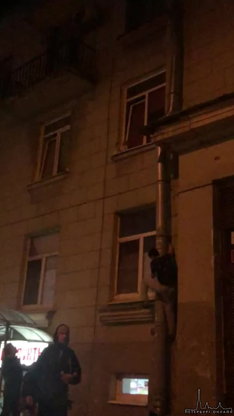 9 мая на втором этаже дома №51 по Среднеохтинскому проспекту компания ребят спасла кота застрявшего ...
