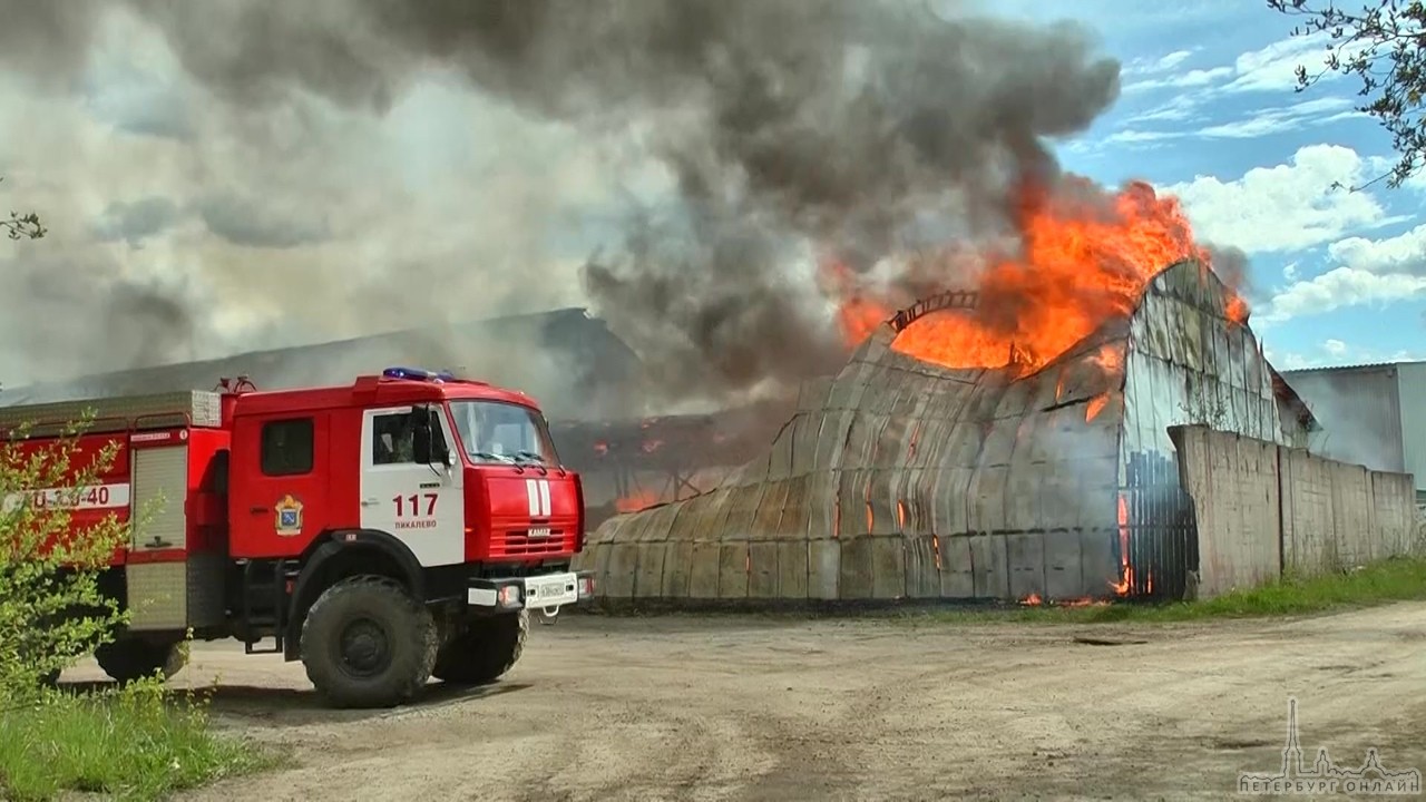 Сегодня на территории промзоны в городе Пикалево сгорел ангар 25х50м высотой 10м по всей площади. ...