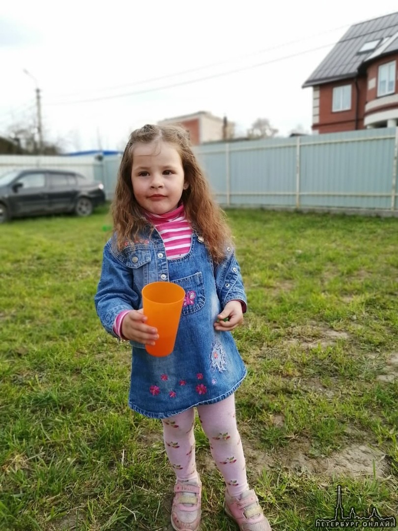 Пропала девочка в СНТ Сады Кебь в Псковском районе! Девочке 3 года 6 месяцев, зовут Попова Варвара. ...