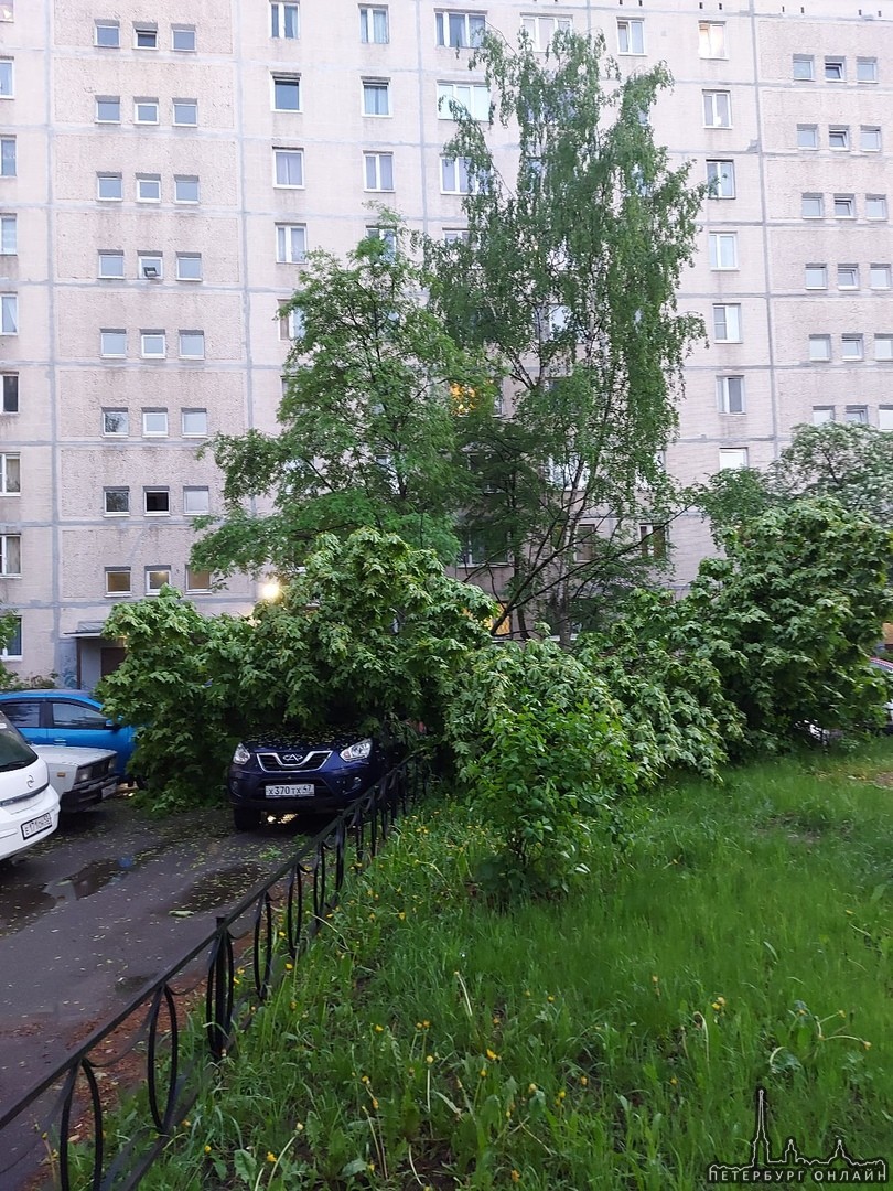 Во дворе у дома 46 на улице Малая Балканская на припаркованные авто рухнуло дерево (клен) повреждени...