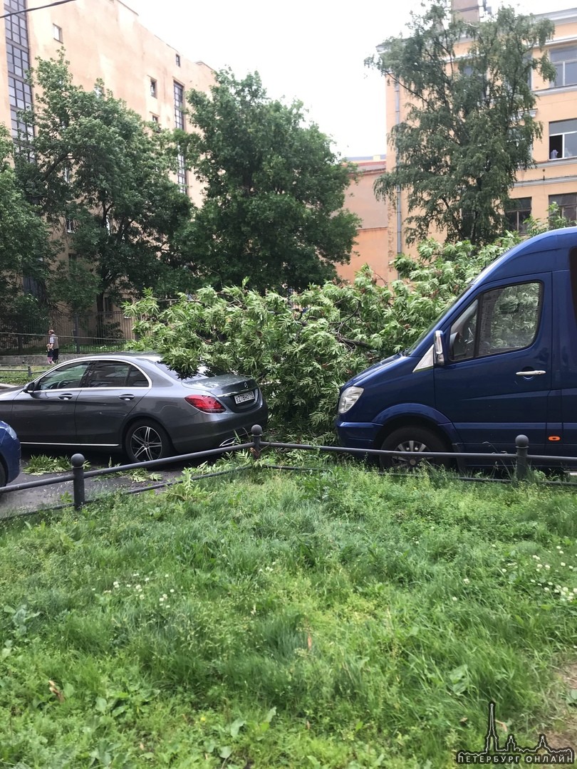Только что упало дерево на 13-линии Васильевского острова прямо на машины