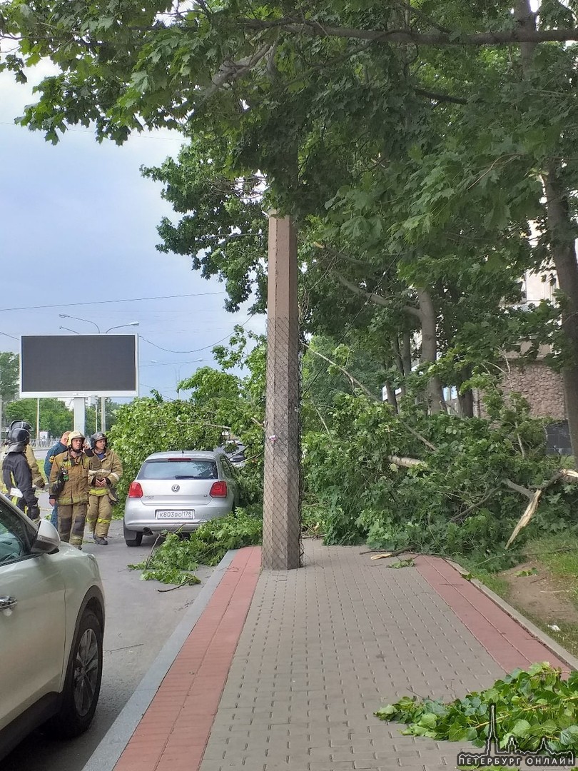 На Заневском проспекте 32 дерево упало на провода и рядом с машиной, к счастью никто не пострадал, м...