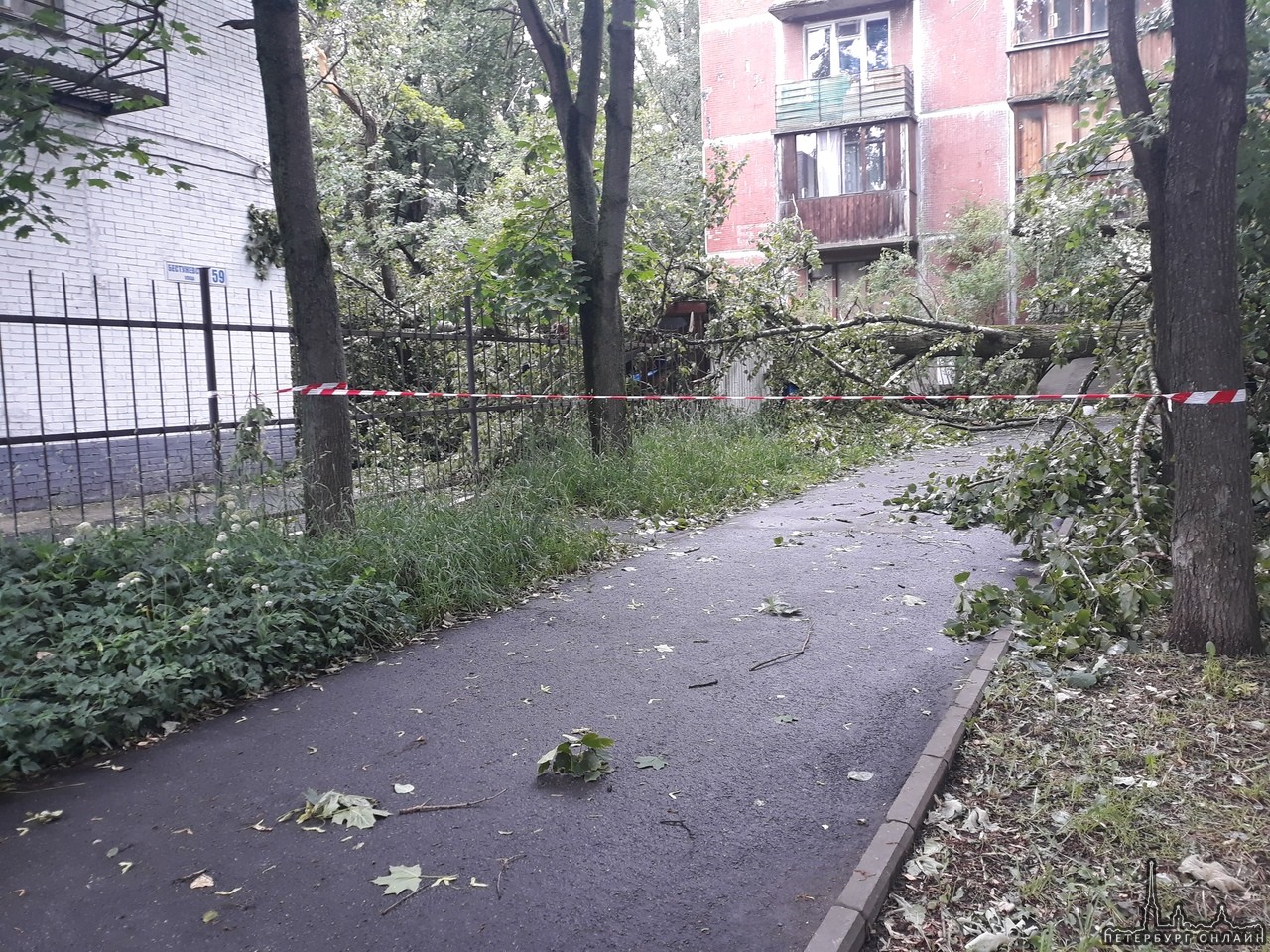 Полицейский участок на Бестужевской 59 накрыло тополем. Ко входу не подойти. Рядом оборвало провода.