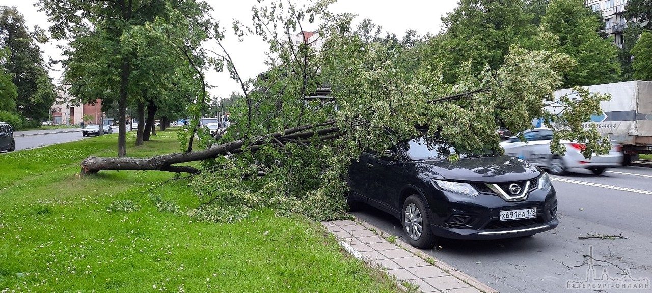 На улице Карпинского 23 дерево упало на автомобиль. Хоть и машина была припаркована достаточно далек...