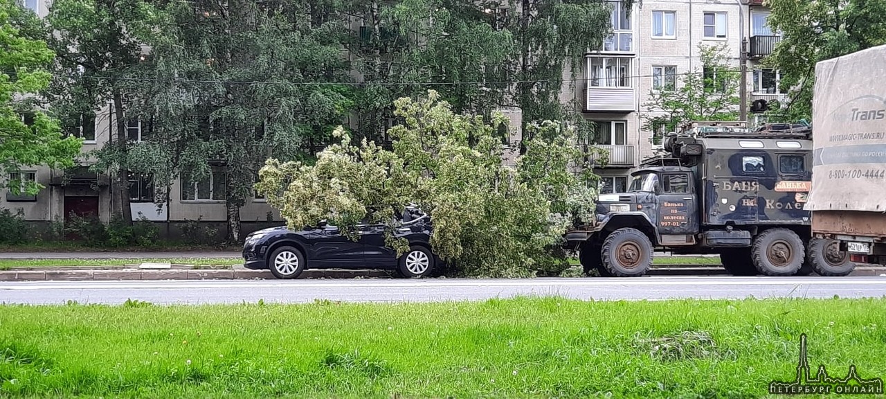 На улице Карпинского 23 дерево упало на автомобиль. Хоть и машина была припаркована достаточно далек...