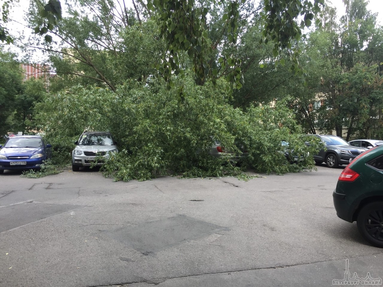 Накрыло На Передовиков у дома 25 дерево упало на машины