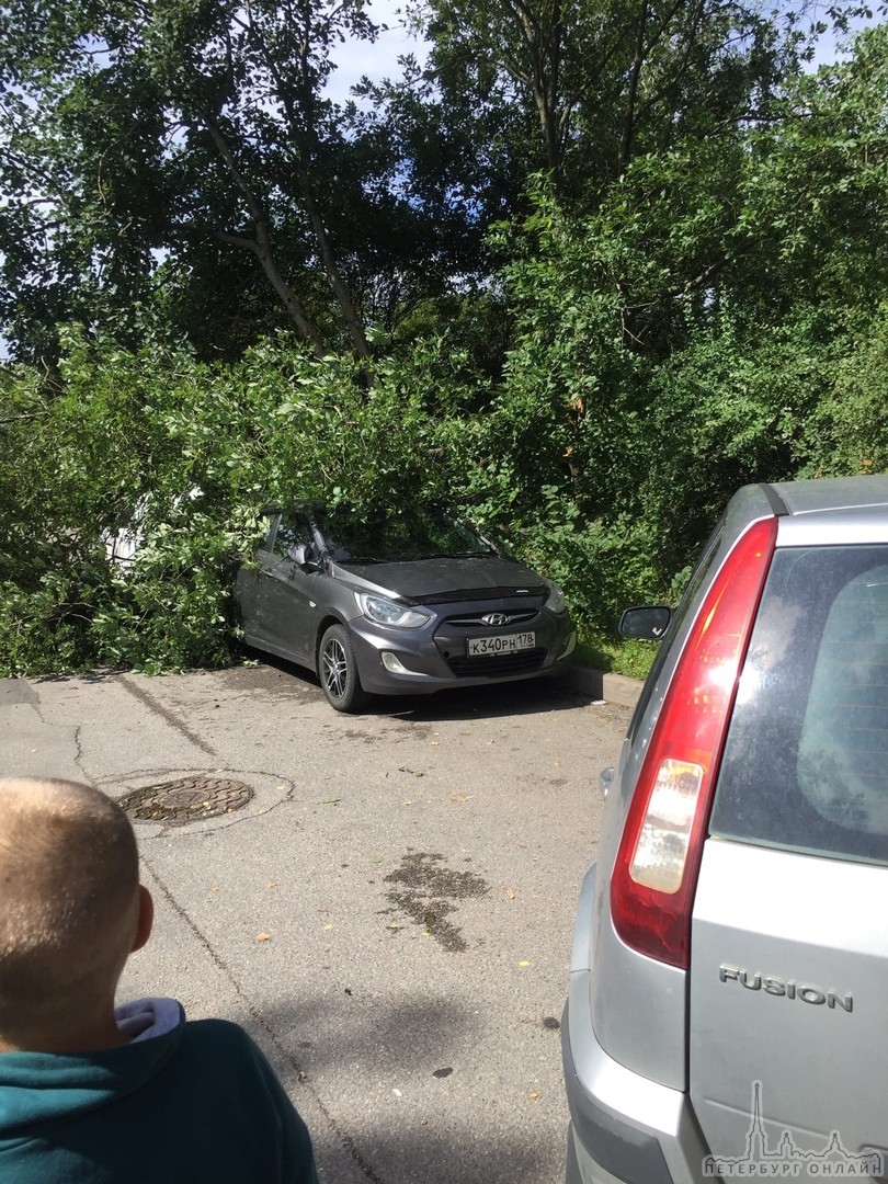 Второй случай падения дерева на машины на неделе) Во дворе дома 25 по улице Передовиков Первый 21 и...