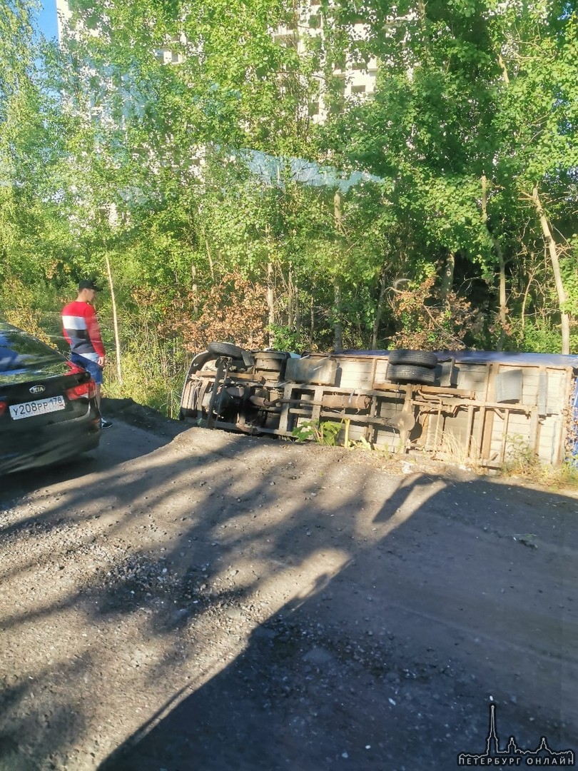 Перед Новым Девяткино галезь легла отдохнуть в кювет.