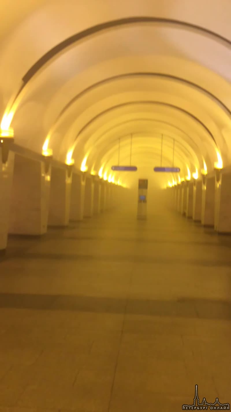 Станция метро Проспект Просвещение закрыта на вход и выход. Ощущается запах дыма. Говорят что-то про...
