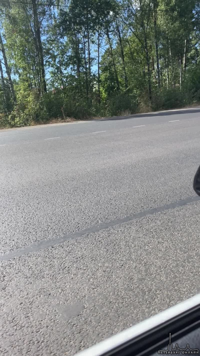 Мотоциклист разбился на Выборгском шоссе (( Садоводства. В 10:20 час , на 36 км автодороги"Парго...