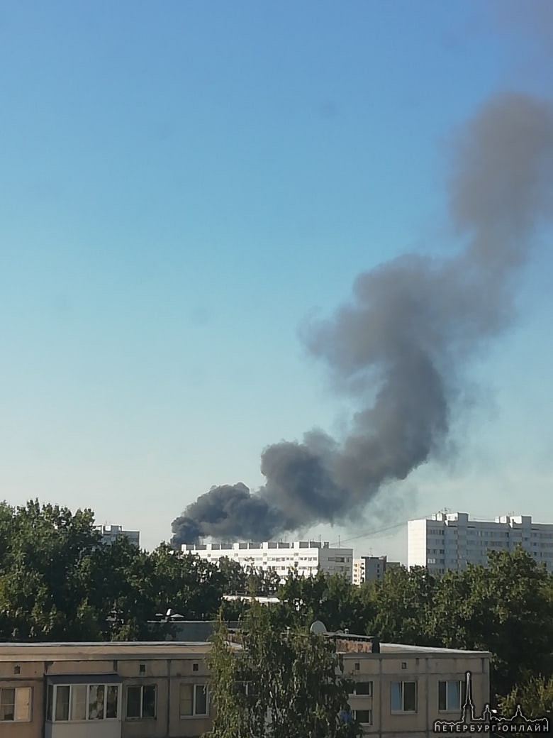 Очень сильно горит за Лентой на Таллинском шоссе 135. Пламя выше деревьев видно. Подожгли что-то на...