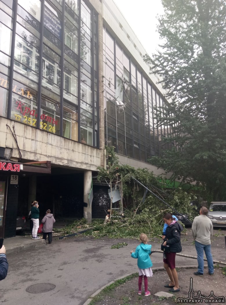 На дом №18 на Нарвском проспекте упало дерево.
