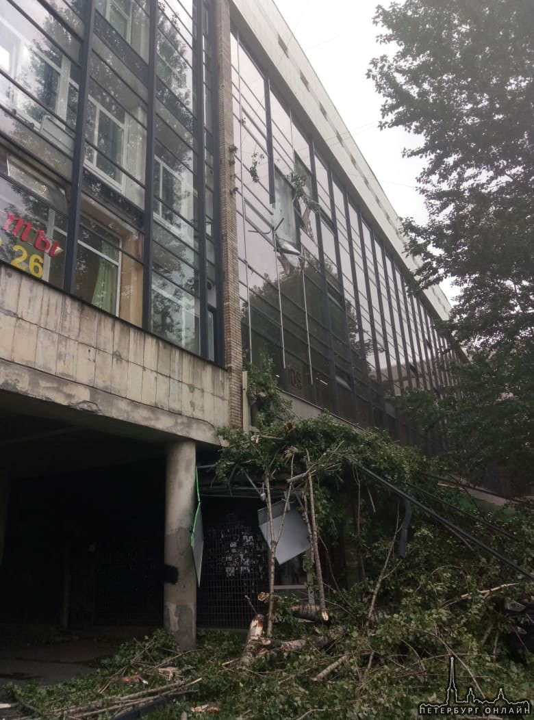 На дом №18 на Нарвском проспекте упало дерево.