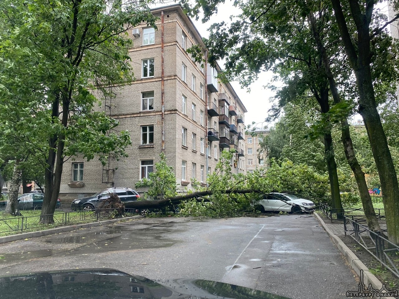 На Вёсельной у дома 8 на Volkswagen упало дерево во дворе