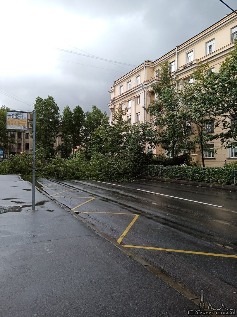 На улице Стахановцев повалило деревом провода