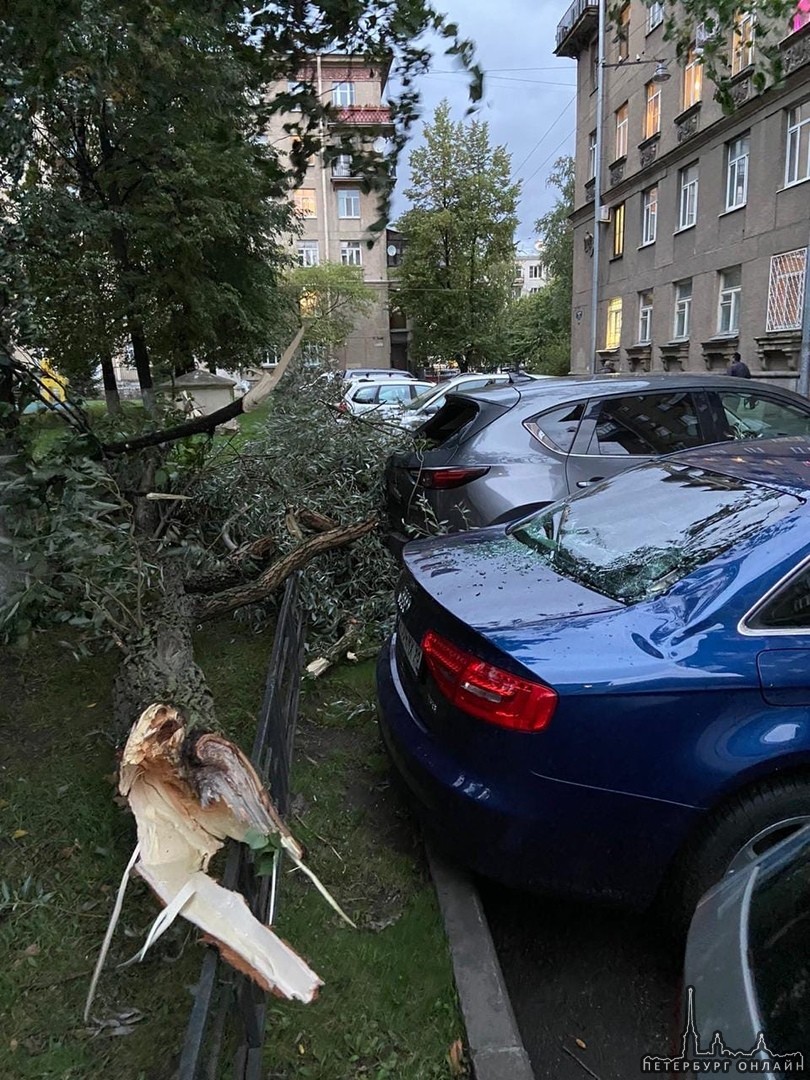 Во дворе дома 174 на Московском проспекте упало дерево, хозяева вероятно ещё не знают, сигнализаци...