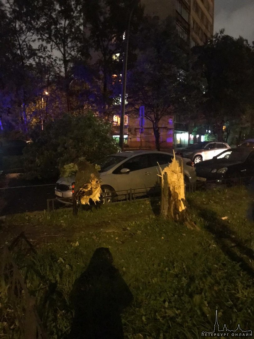 На бульваре Новаторов 36 упало дерево на 2 машины. Движение перекрыто