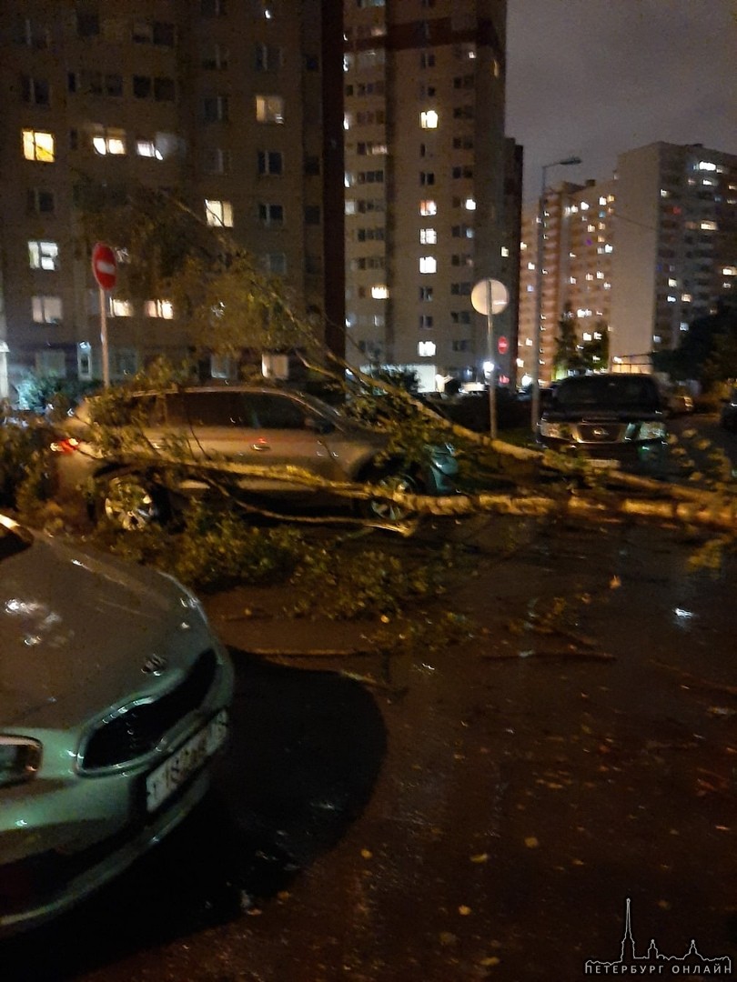 На Ленинском проспекте у дома 75/2 от сильного порыва ветра упало дерево, зацепив 2 машины. Будьте о...