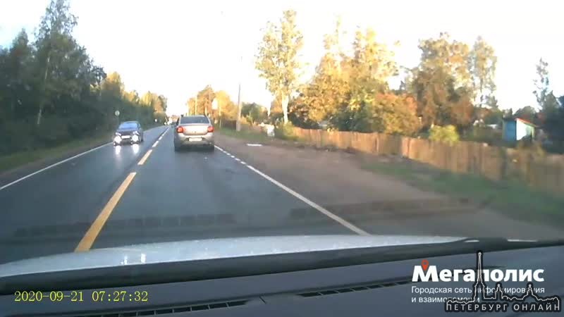 Еще одно видео с утреннего Петрозаводского шоссе в Сапёрном, где взбесившийся автобус навалил столбо...