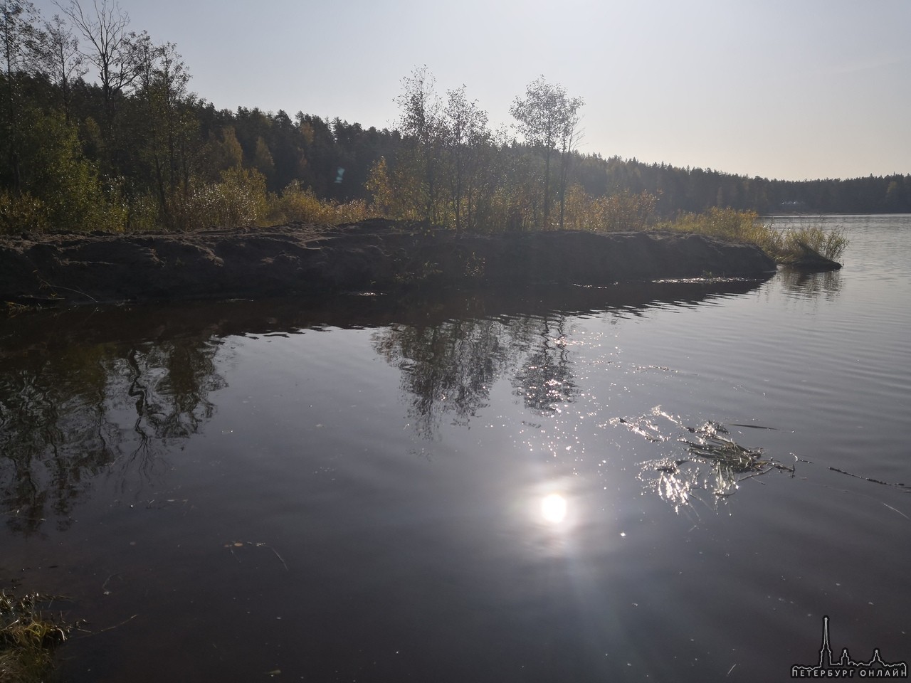 На озере рядом с Ильичево ведут какие-то непонятные работы. На первых трех фотографиях показан проце...