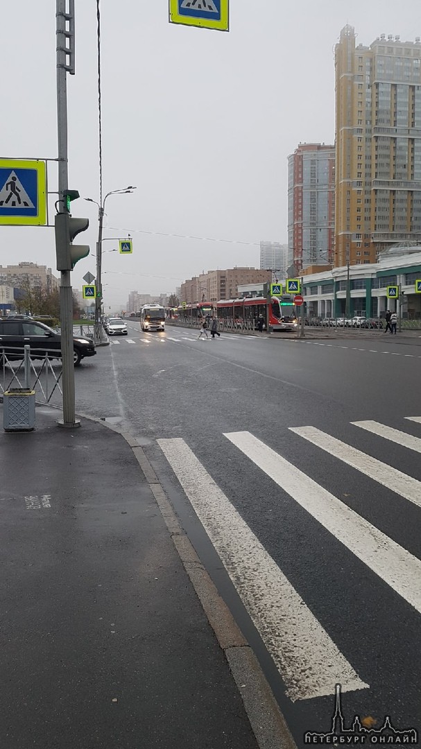 Стоят трамваи, от Кустодиева в сторону метро Просвещения
