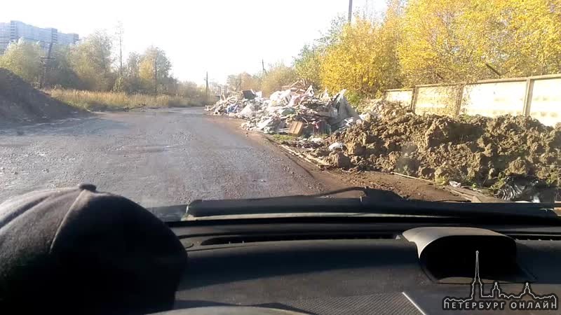 На Приневской улице выросли кучи мусора вдоль дороги. Совсем недавно их не было.