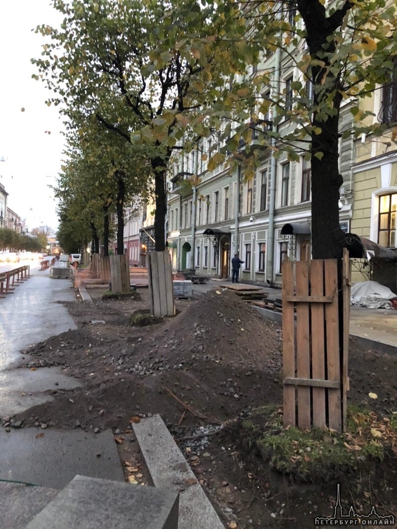 В ходе работ по "благоустройству" на улице Чайковского видимо решили погубить деревья. Вчера и сего...