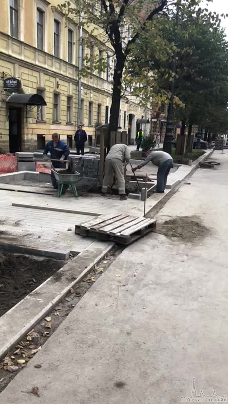 В ходе работ по "благоустройству" на улице Чайковского видимо решили погубить деревья. Вчера и сего...