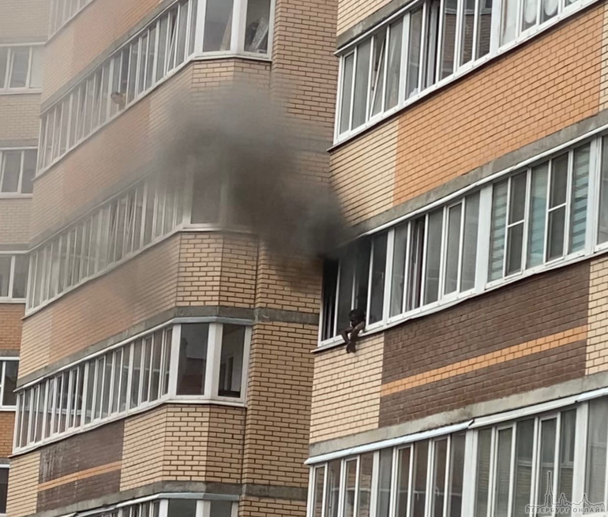 В Мурино по адресу Петровский бульвар 7 на 10 этаже сгорела квартира на 10 этаже. Рядом находятся мн...