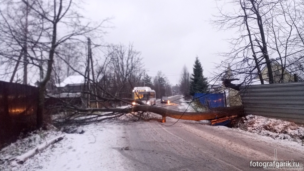 По Новоорловской улице у дома 8 перекрыт проезд упавшим деревом.