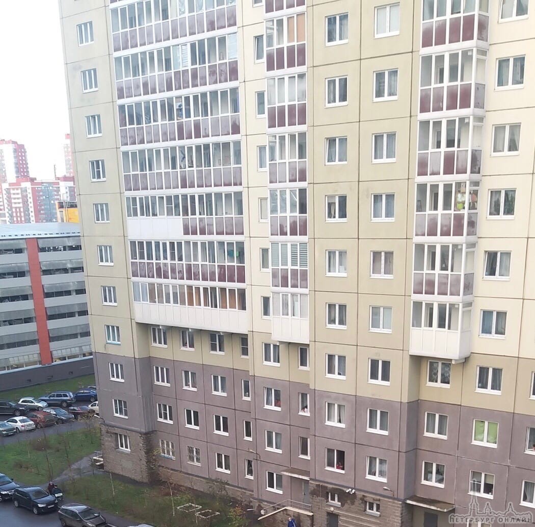 Две девочки спрыгнули с 16 этажа Санкт Петербург