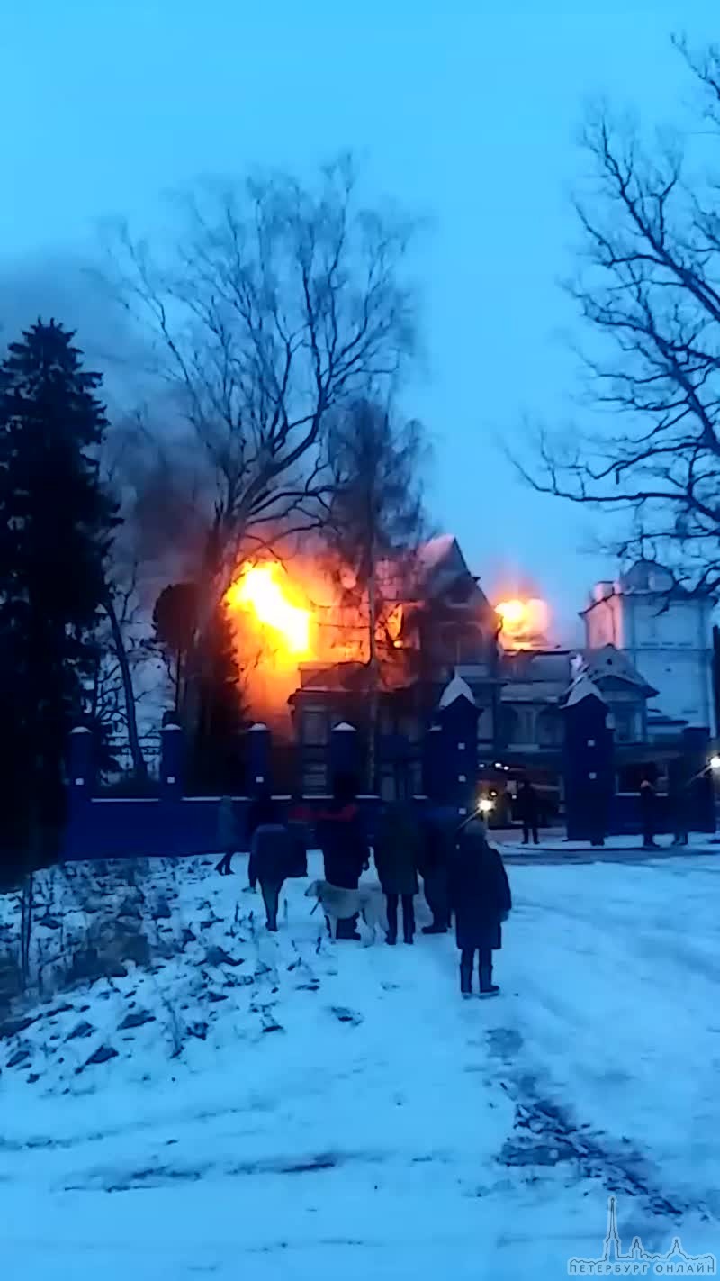 В с. Колчаново, Ленинградской области, горит деревянная усадьба 1840 года постройки. В настоящее вре...
