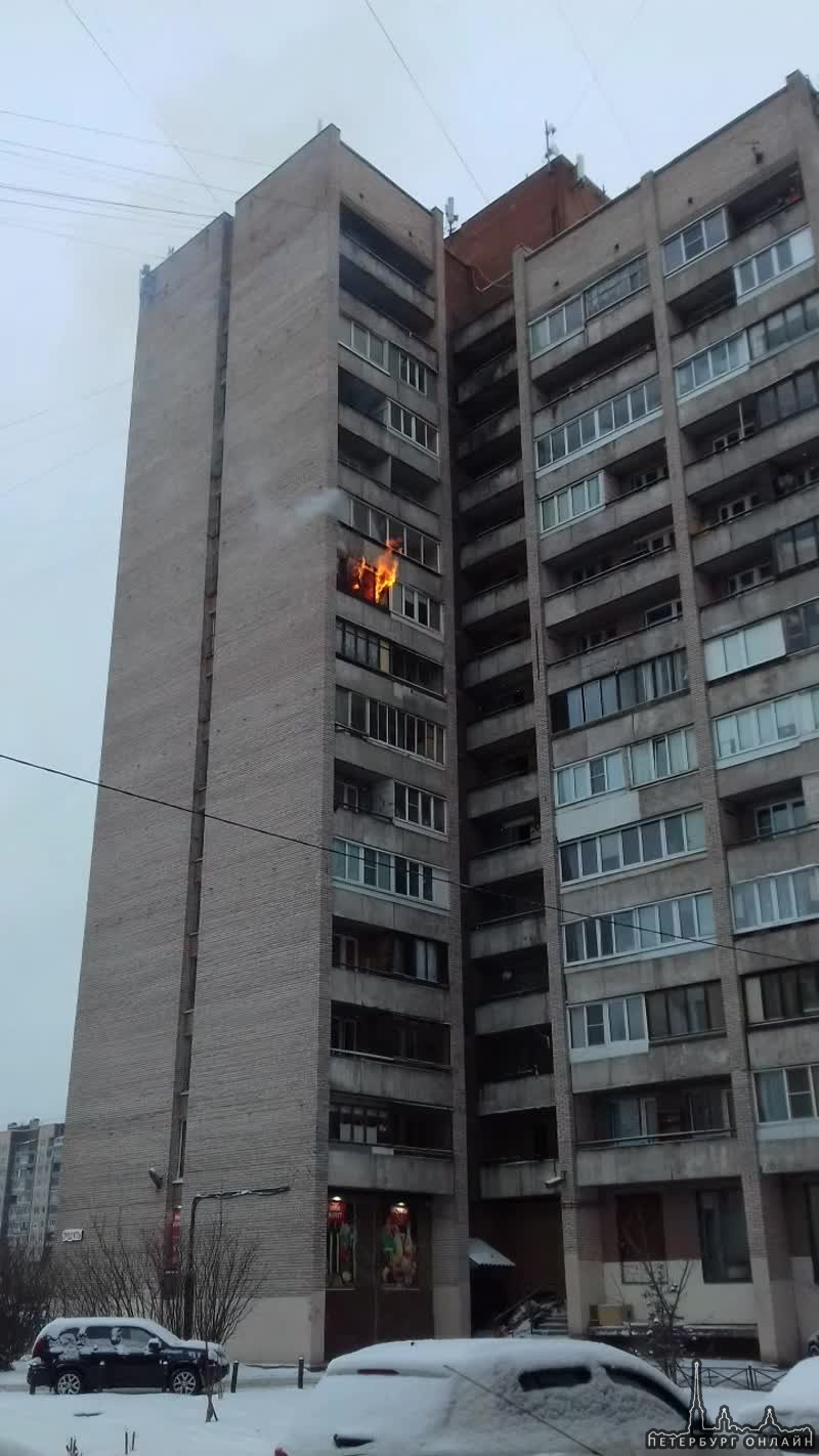 На проспекте Большевиков горит квартира Едет реанимация, пожарная