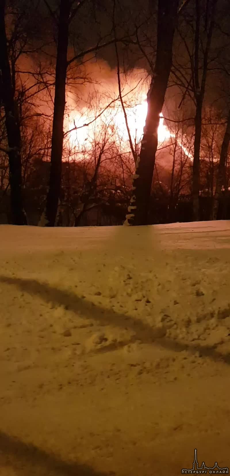 Пожар сегодня, 23 февраля в Красносельском районе Санкт-Петербурга полностью уничтожил частный дерев...